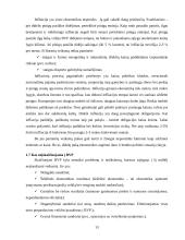 Bendrojo vidaus produkto (BVP) esmė bei svarba 13 puslapis