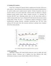 Bendrojo vidaus produkto (BVP) esmė bei svarba 17 puslapis