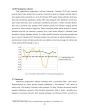 Bendrojo vidaus produkto (BVP) esmė bei svarba 20 puslapis