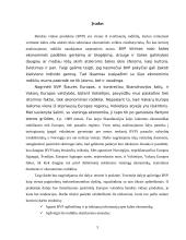 Bendrojo vidaus produkto (BVP) esmė bei svarba 3 puslapis