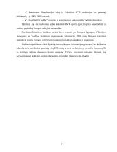 Bendrojo vidaus produkto (BVP) esmė bei svarba 4 puslapis