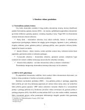 Bendrojo vidaus produkto (BVP) esmė bei svarba 5 puslapis