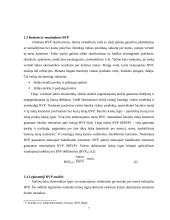 Bendrojo vidaus produkto (BVP) esmė bei svarba 7 puslapis