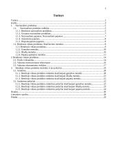 Bendrasis vidaus produktas (BVP) ir jo matavimas 2 puslapis