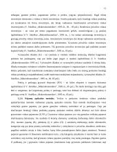 Bendrasis vidaus produktas (BVP) ir jo matavimas 11 puslapis