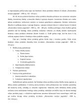 Bendrasis vidaus produktas (BVP) ir jo matavimas 15 puslapis