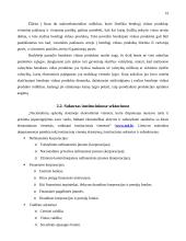 Bendrasis vidaus produktas (BVP) ir jo matavimas 16 puslapis