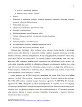 Bendrasis vidaus produktas (BVP) ir jo matavimas 18 puslapis