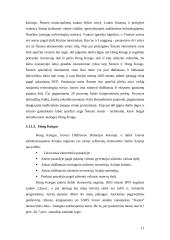 Besivystančių šalių tarptautinė ekonominė politika: Kinijos atvejis 10 puslapis