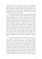 Besivystančių šalių tarptautinė ekonominė politika: Kinijos atvejis 18 puslapis