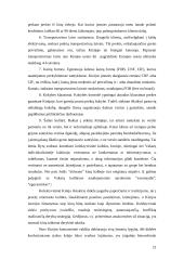 Besivystančių šalių tarptautinė ekonominė politika: Kinijos atvejis 20 puslapis