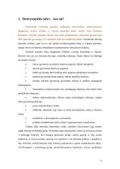 Besivystančių šalių tarptautinė ekonominė politika: Kinijos atvejis 3 puslapis