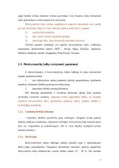 Besivystančių šalių tarptautinė ekonominė politika: Kinijos atvejis 4 puslapis