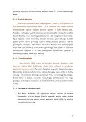 Besivystančių šalių tarptautinė ekonominė politika: Kinijos atvejis 5 puslapis