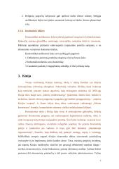 Besivystančių šalių tarptautinė ekonominė politika: Kinijos atvejis 6 puslapis