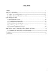 Biudžeto deficitas ir valstybės skola Lietuvoje 2 puslapis