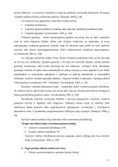 Biudžeto deficitas ir valstybės skola Lietuvoje 11 puslapis