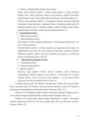 Biudžeto deficitas ir valstybės skola Lietuvoje 12 puslapis