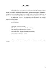 Biudžeto deficitas ir valstybės skola Lietuvoje 3 puslapis