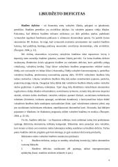 Biudžeto deficitas ir valstybės skola Lietuvoje 4 puslapis