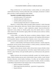 Nacionalinio biudžeto sistemos reforma 4 puslapis