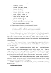 Nacionalinio biudžeto sistemos reforma 8 puslapis