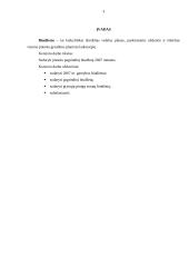 Biudžeto sudarymas: UAB "Simpatija" 3 puslapis