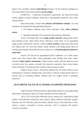 Centrinis bankas (CB) 4 puslapis