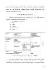 Darbo apmokėjimo organizavimas: gydymo įstaiga 11 puslapis