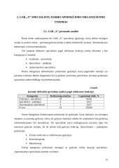 Darbo apmokėjimo organizavimas: gydymo įstaiga 13 puslapis