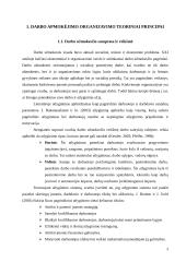 Darbo apmokėjimo organizavimas: gydymo įstaiga 3 puslapis