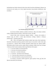 Darbo rinkos reguliavimo būdai 12 puslapis