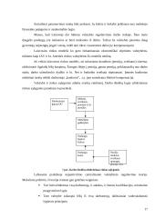 Darbo rinkos reguliavimo būdai 17 puslapis