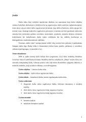 Darbo rinkos reguliavimo būdai 3 puslapis