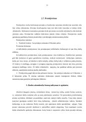Darbo užmokesčio formos Europoje 11 puslapis