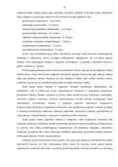 Darbo užmokesčio formos Europoje 15 puslapis