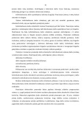 Darbo užmokesčio formos Europoje 16 puslapis