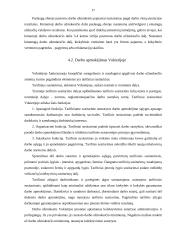 Darbo užmokesčio formos Europoje 17 puslapis