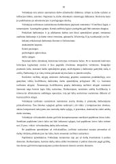 Darbo užmokesčio formos Europoje 18 puslapis