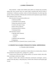Darbo užmokesčio formos Europoje 3 puslapis