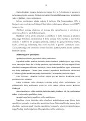 Darbo užmokesčio organizavimo politika 13 puslapis
