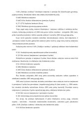 Darbo užmokesčio organizavimo politika 19 puslapis