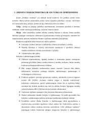 Darbo užmokesčio organizavimo politika 3 puslapis