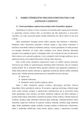 Darbo užmokesčio organizavimo politika 8 puslapis