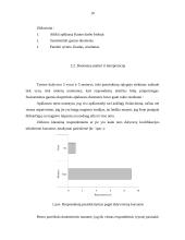 Darbuotojų kvalifikacijos tobulinimas Kauno darbo biržoje 10 puslapis