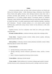 Darbuotojų vertinimo metodai 1 puslapis
