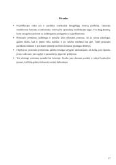 Darbuotojų vertinimo metodai 17 puslapis