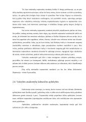 Diplomatinė gynyba: teisinio reglamentavimo tendencija šiuolaikinėje tarptautinėje teisėje 12 puslapis