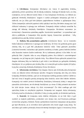 Dividendai ir jų apmokestinimas 13 puslapis