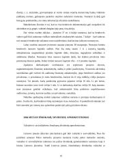 Dividendai ir jų apmokestinimas 19 puslapis